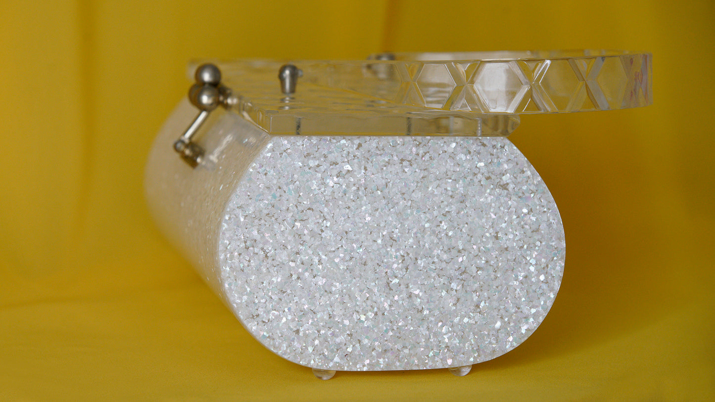 Clear Lucite Vintage Purse